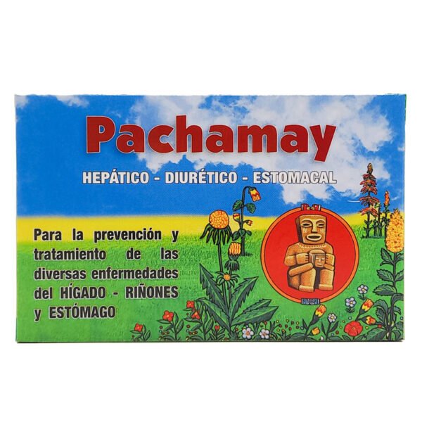 TE PACHAMAY X 20 BOLSITAS