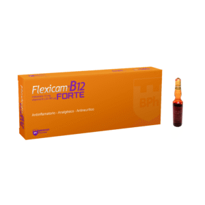 FLEXICAM B12 FORTE 3ml  x 10 amp