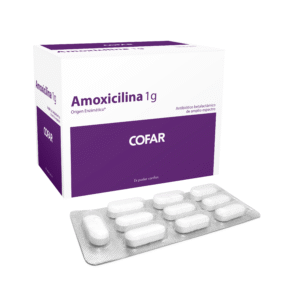 AMOXICILINA 1 gr x 320 comp.