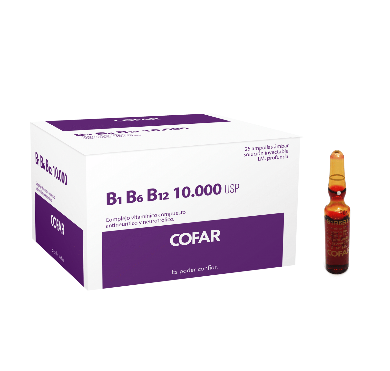 B1B6B12 10.000 U.I. x 25 ampollas