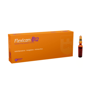 FLEXICAM - B12/ 3 ml x 10 ampolla
