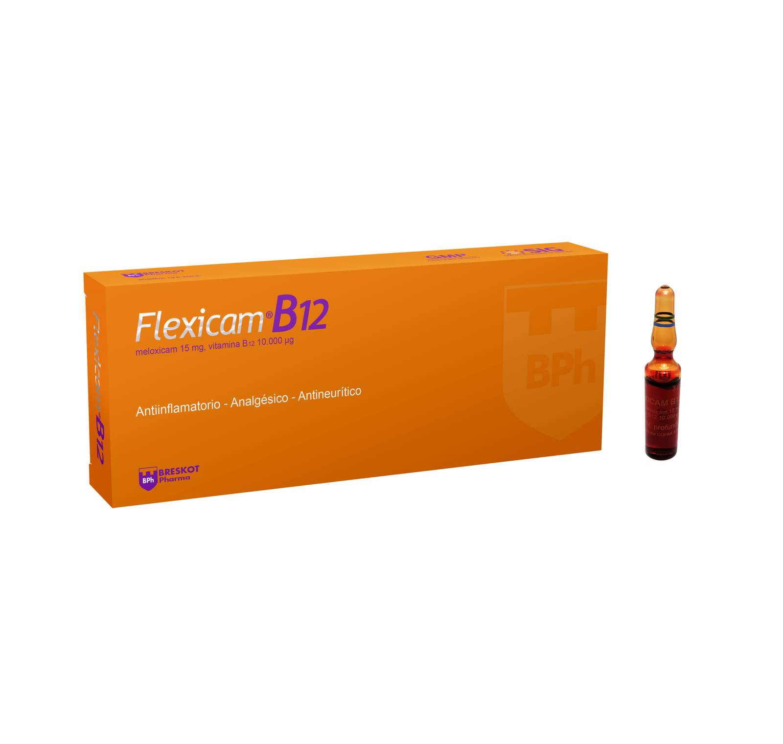FLEXICAM - B12/ 3 ml x 10 ampolla
