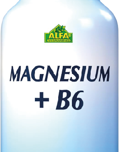 MAGNESIUM + B6 50mg x 100 tab.